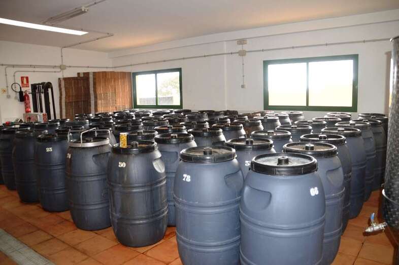 Almazara del Centro Cultural y Ecológico Los Olivos, en Telde (Foto TA)